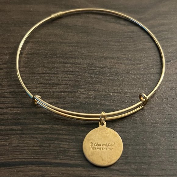 Alex and Ani Our Guardian Angel Charm Bracelet - Picture 2 of 3